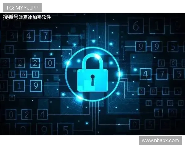 v体育平台的安全保障措施与隐私保护策略全面解析